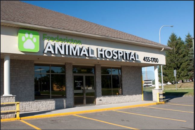 Careers - Fredericton Animal Hospital